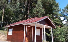 Cabana Uva Niágara